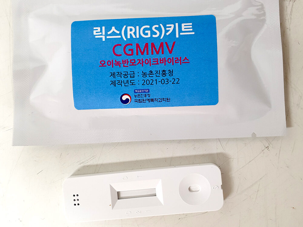 진단키트.jpg