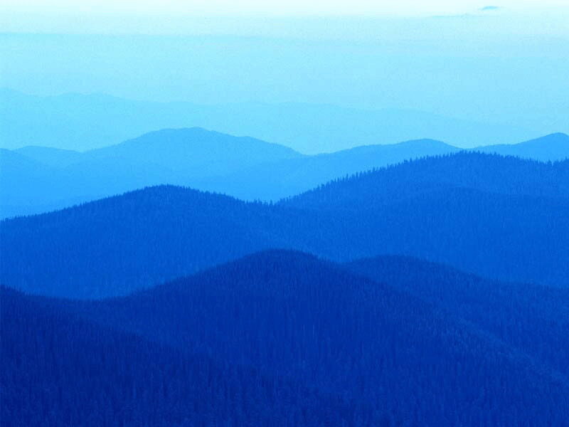 8153120090616.jpg