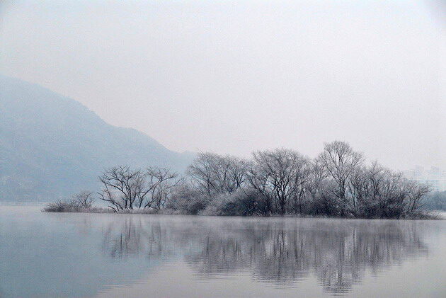 63110rDSC_2784.jpg