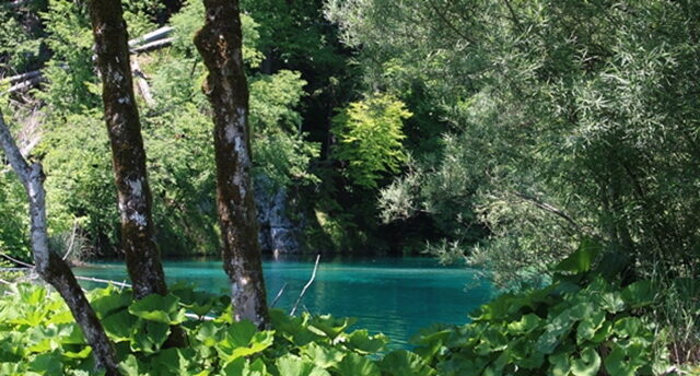 0622-01.jpg
