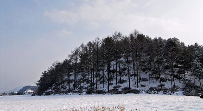 1266022193_20627DSC_4693.jpg