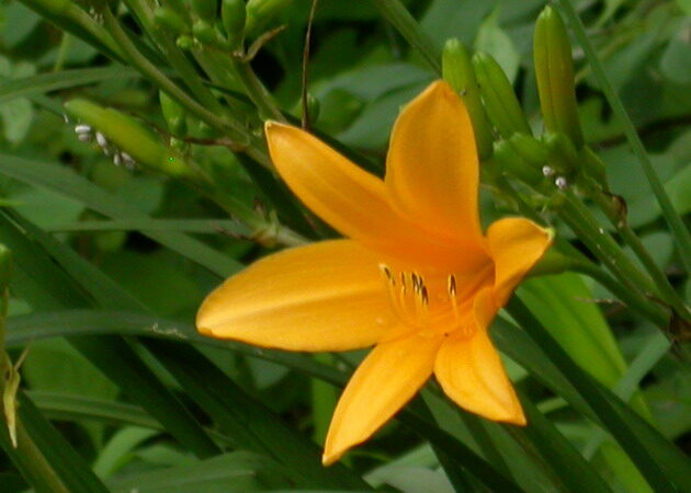 120202DSCN6185r.jpg