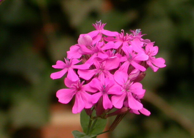 104320srDSCN6076.jpg