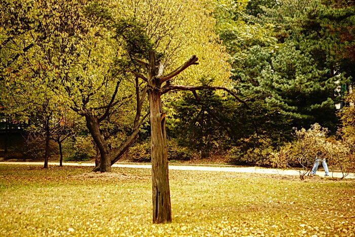 DPP_0092-001.jpg