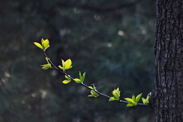 1050182DSC_5825.jpg