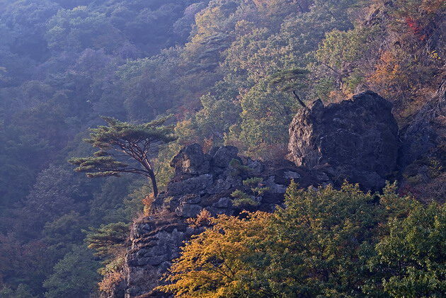 이주연의 산마루서신