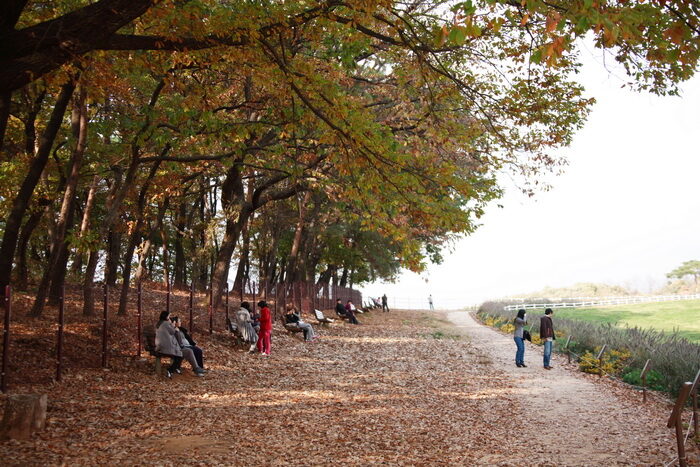 DPP_0083-001.jpg
