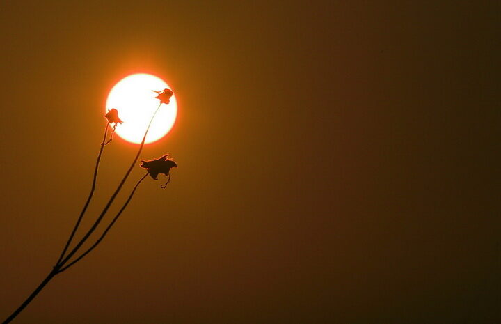 IMG_3741-0001.jpg