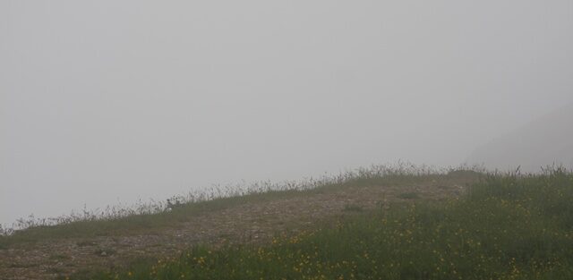 115323IMG_0056.jpg