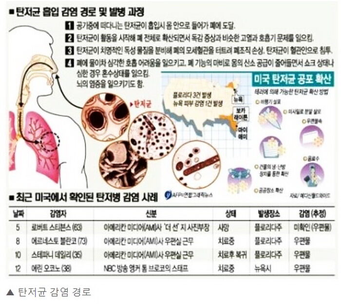 탄저균2.JPG