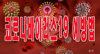 코로나19 예방법.JPG