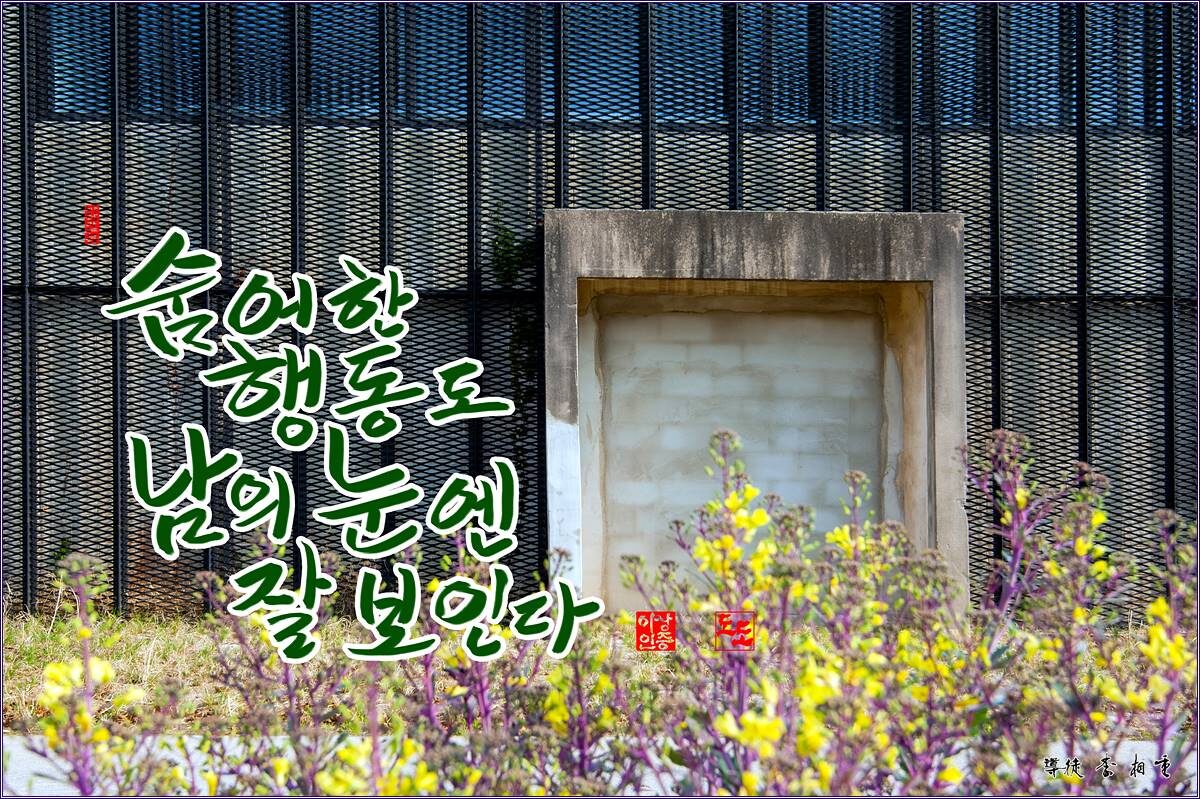 s숨어서.jpg