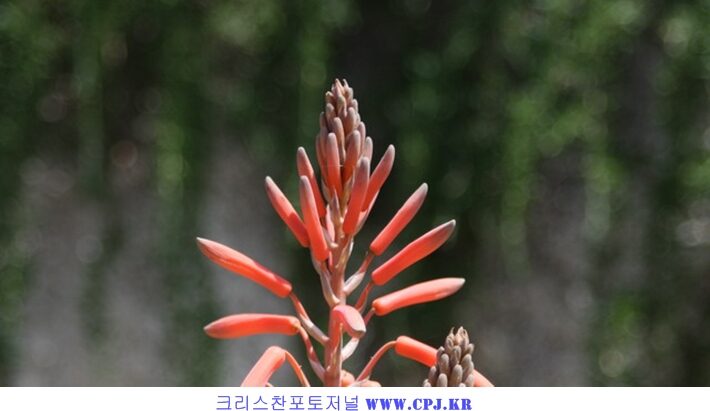 산마루서신01.jpg