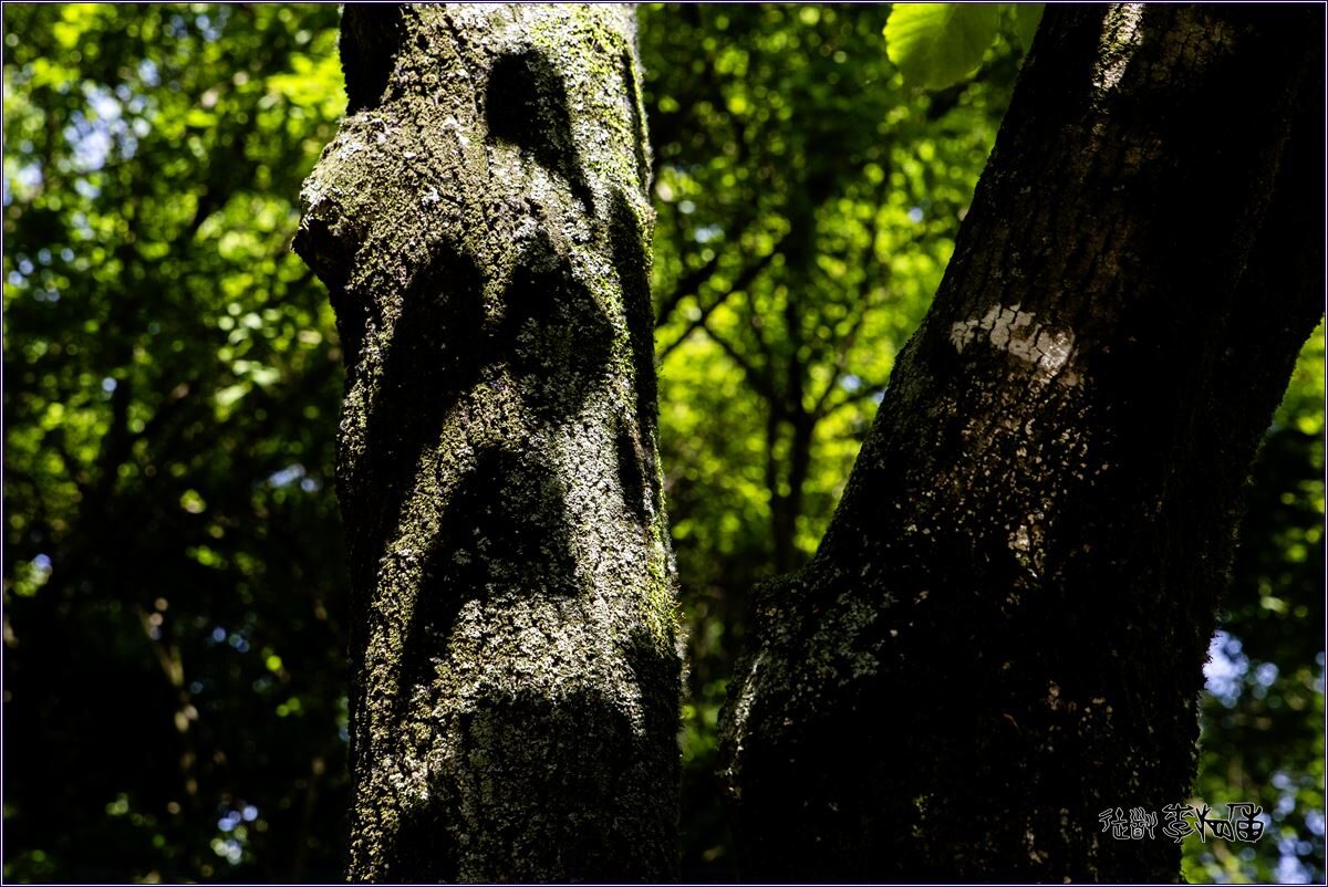 aaCLSJ8282.jpg