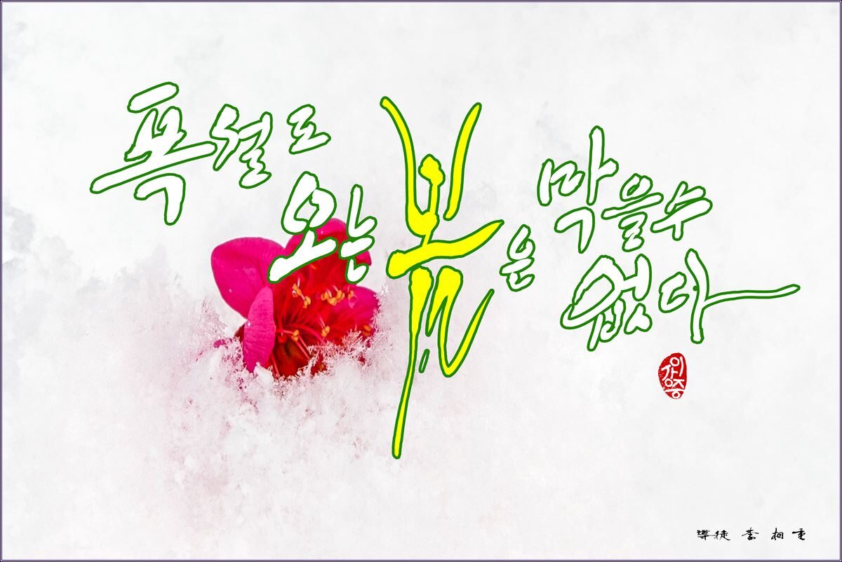 a폭설도.jpg