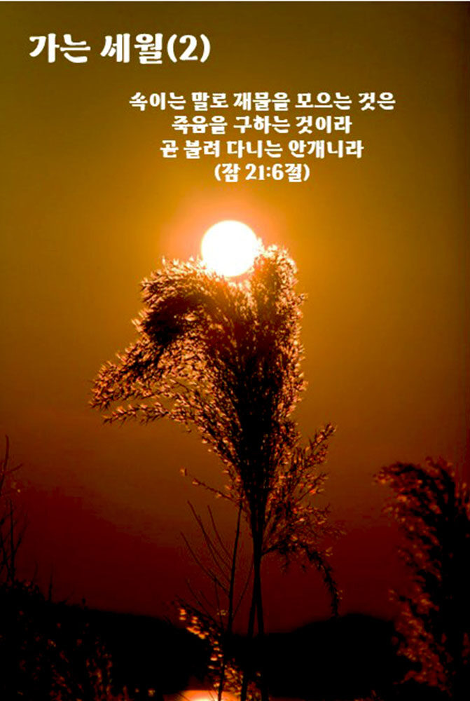 가는 세월2.jpg
