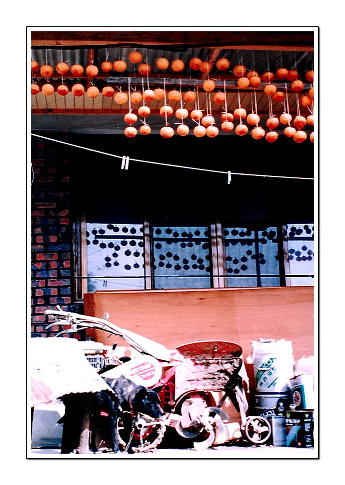 DSC_1254za.jpg