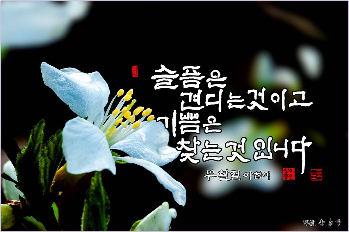 s기쁨은.jpg