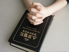 091126pdi.jpg