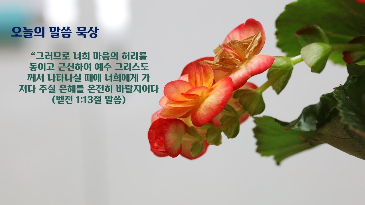 발행인 포토 칼럼1.jpg