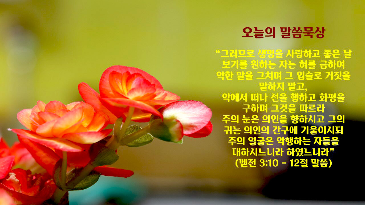 발행인 포토 칼럼2.jpg